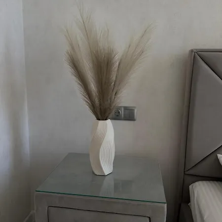 Arcadia Comfort Apartment